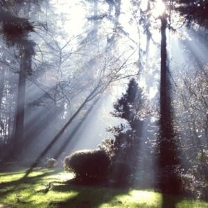 Meet your Posher, Char